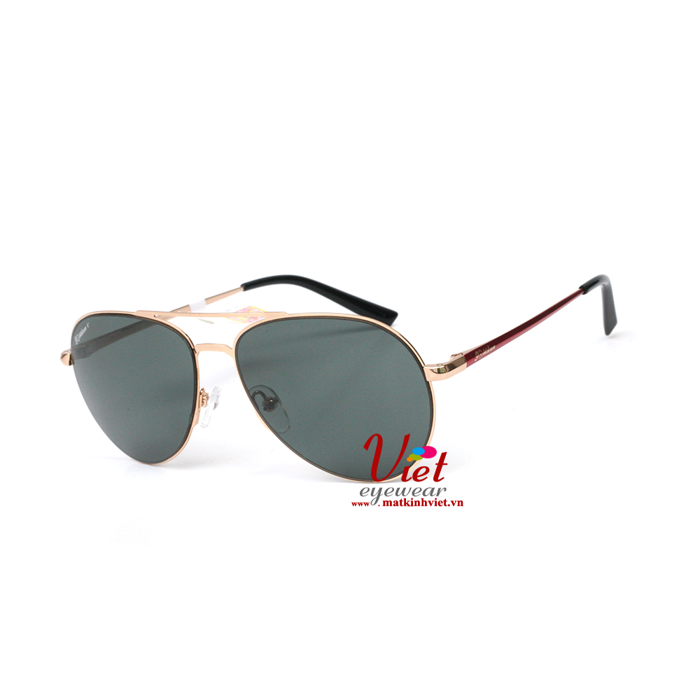 Kính mát Goldsun Kid VNGSK217503 B7